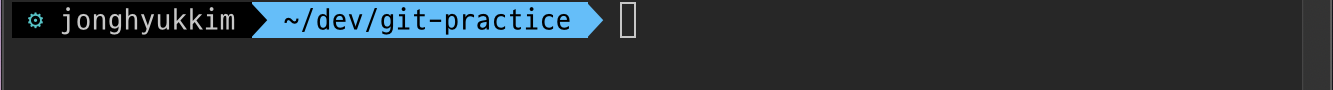 GitSyn
